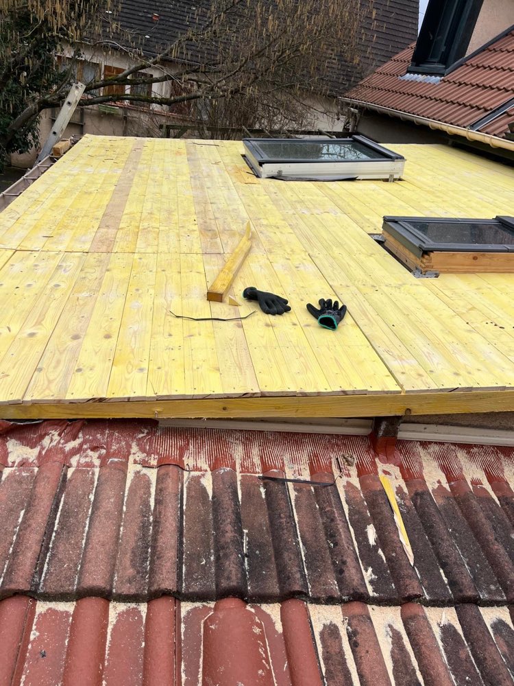 Volige neuve et fenêtres de toit — Val-de-Marne (94)